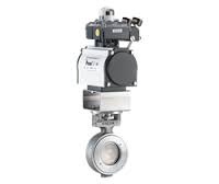Winn Hi-Seal High Performance Butterfly Valve