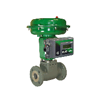 Fisher Baumann Universal Globe Valves